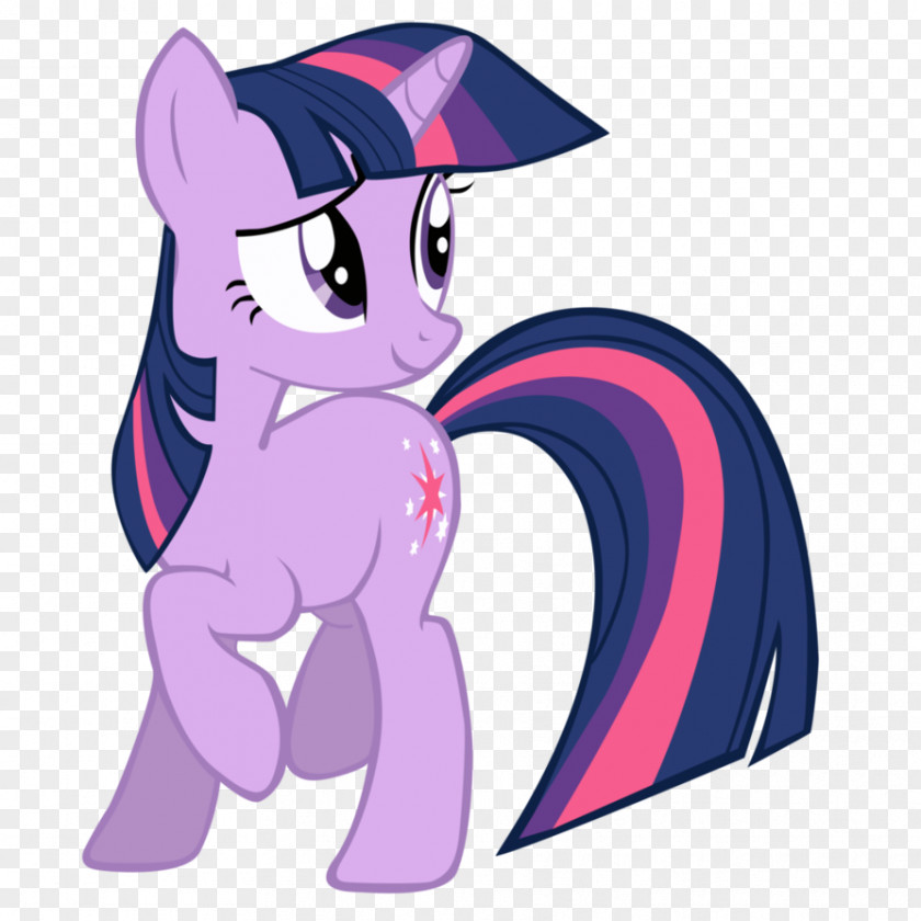 Twilight Sparkle Pinkie Pie Pony Rarity Rainbow Dash PNG