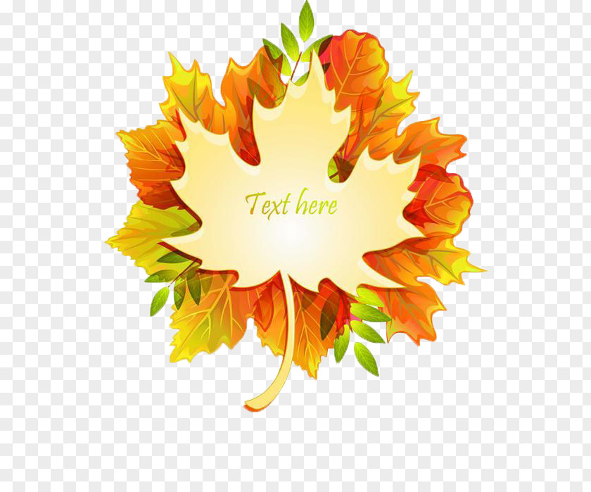 Autumn Leaves Maple Leaf Color PNG