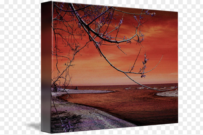 Beach At Sunset Painting Wood Tree Picture Frames /m/083vt PNG