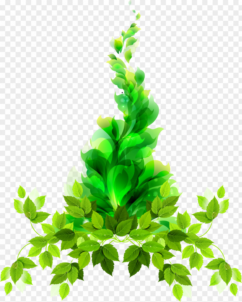 Creative Leaves Vector Leaf Euclidean PNG
