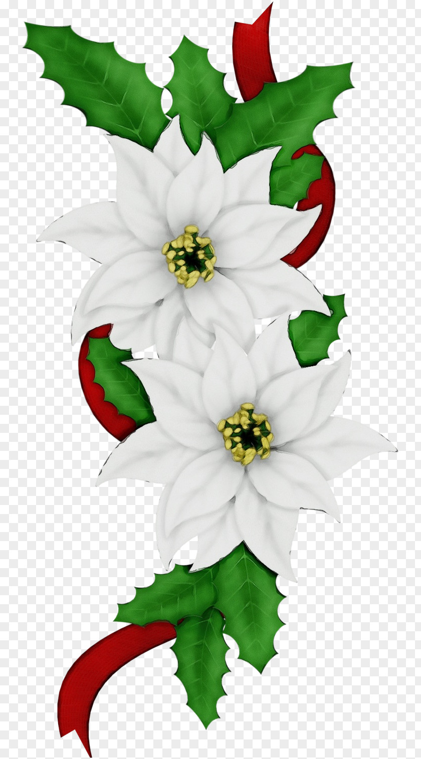 Cut Flowers Leaf Flower White Green Petal Plant PNG