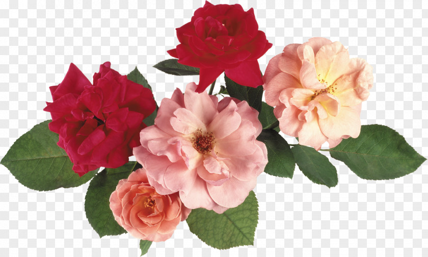 Flower Cut Flowers Rose Artificial PNG