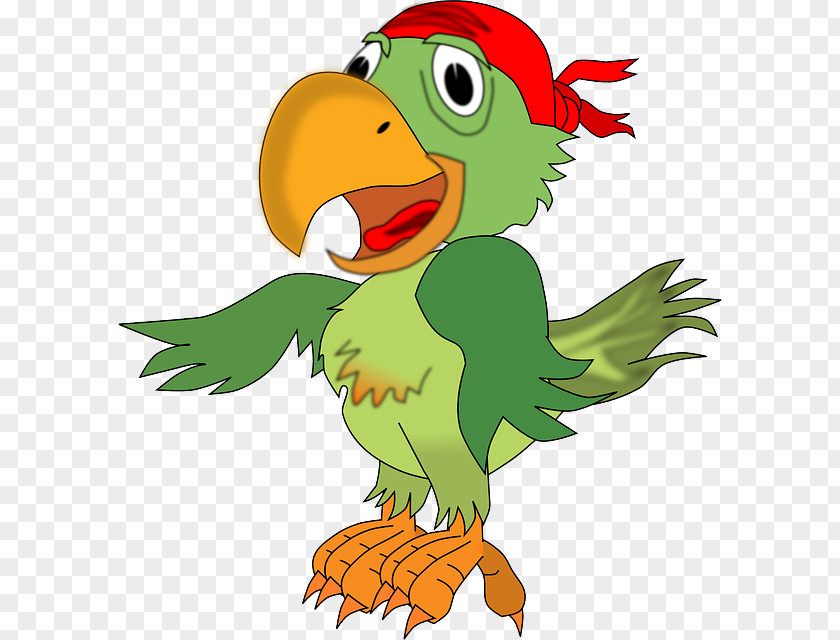 Free Loro Cartoons Pirate Parrot Piracy Clip Art PNG