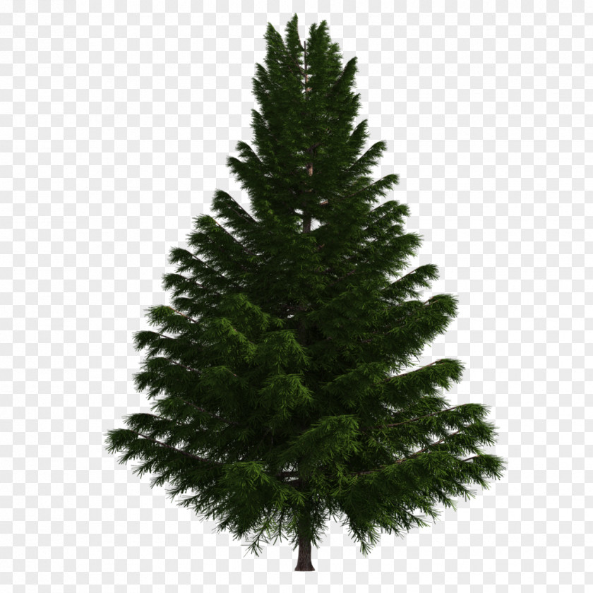 Tree Artificial Christmas Spruce Pinus Thunbergii PNG