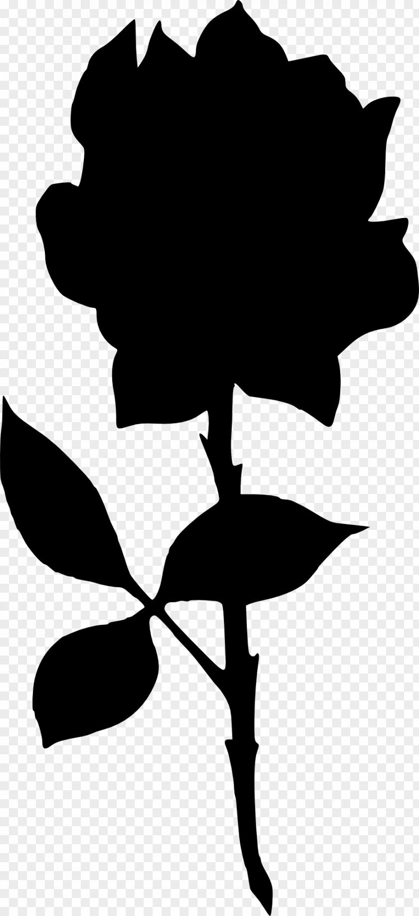 Magnolia Silhouette Vector Graphics Clip Art Image PNG
