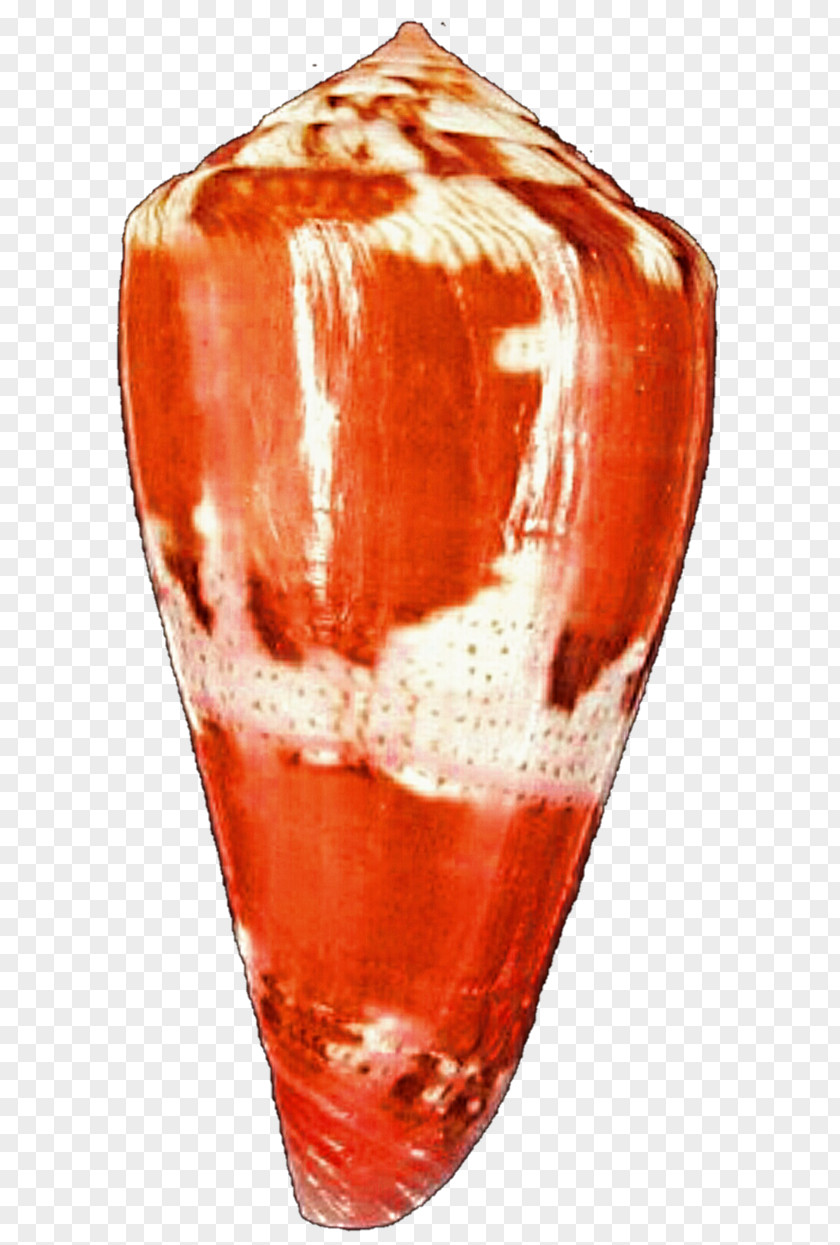Orange And White Vase PNG