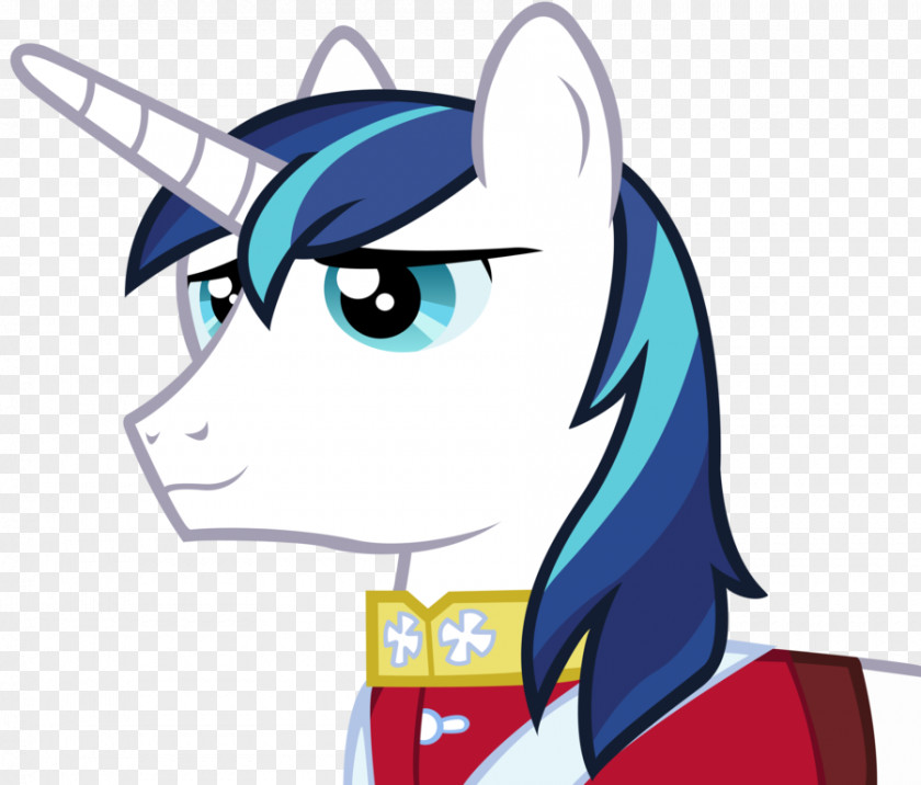 Shining Vector Pony Princess Luna Cadance Celestia Rainbow Dash PNG