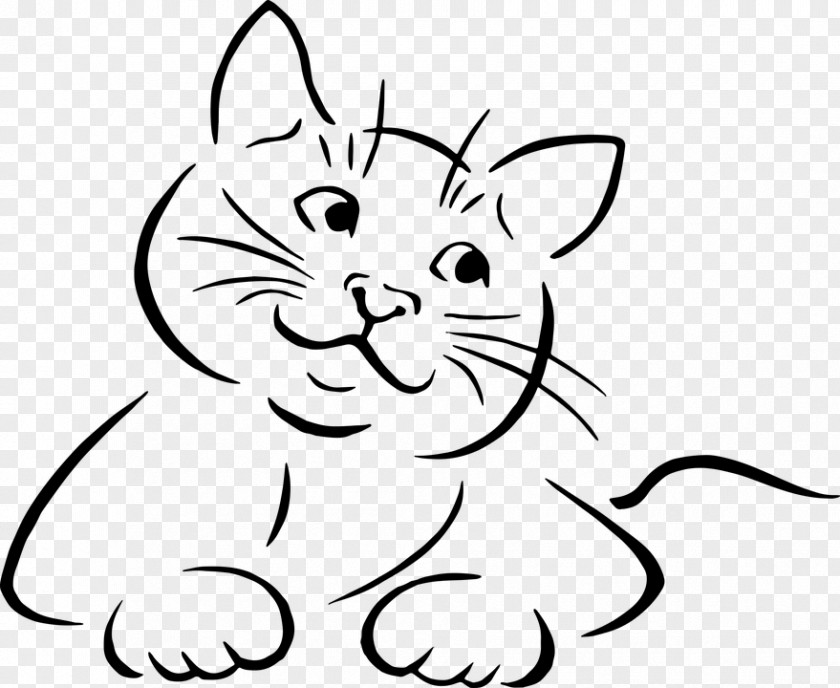 Cat Kitten Line Art Drawing Clip PNG
