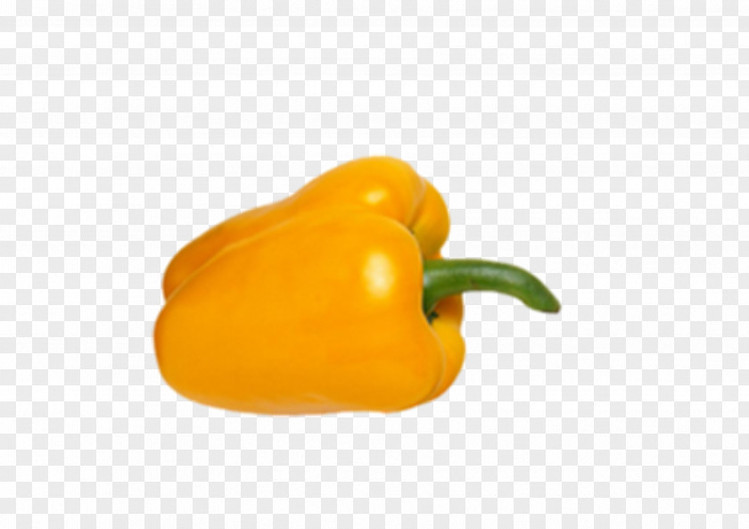 Hand-painted Space Law Habanero Bell Pepper Yellow Chili Outer PNG