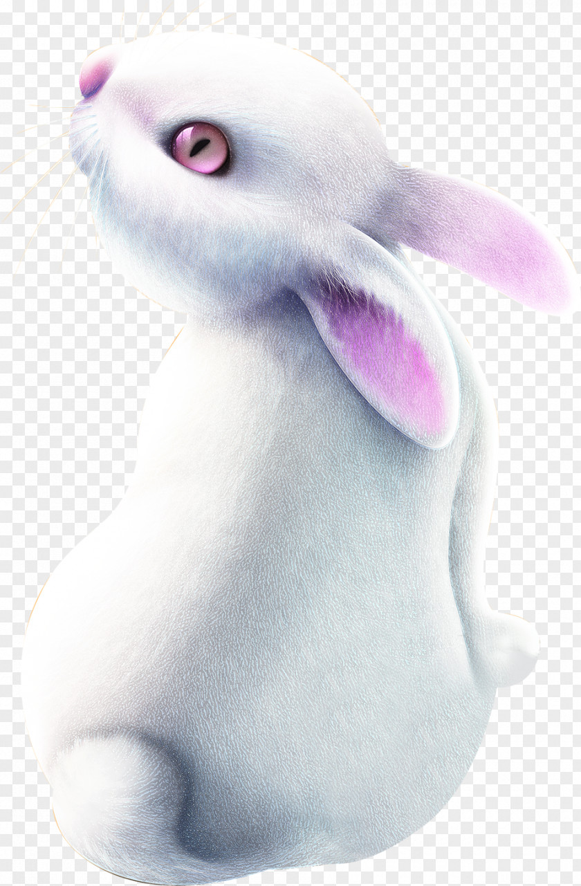 Painted White Bunny Posters Domestic Rabbit Easter Hare PNG