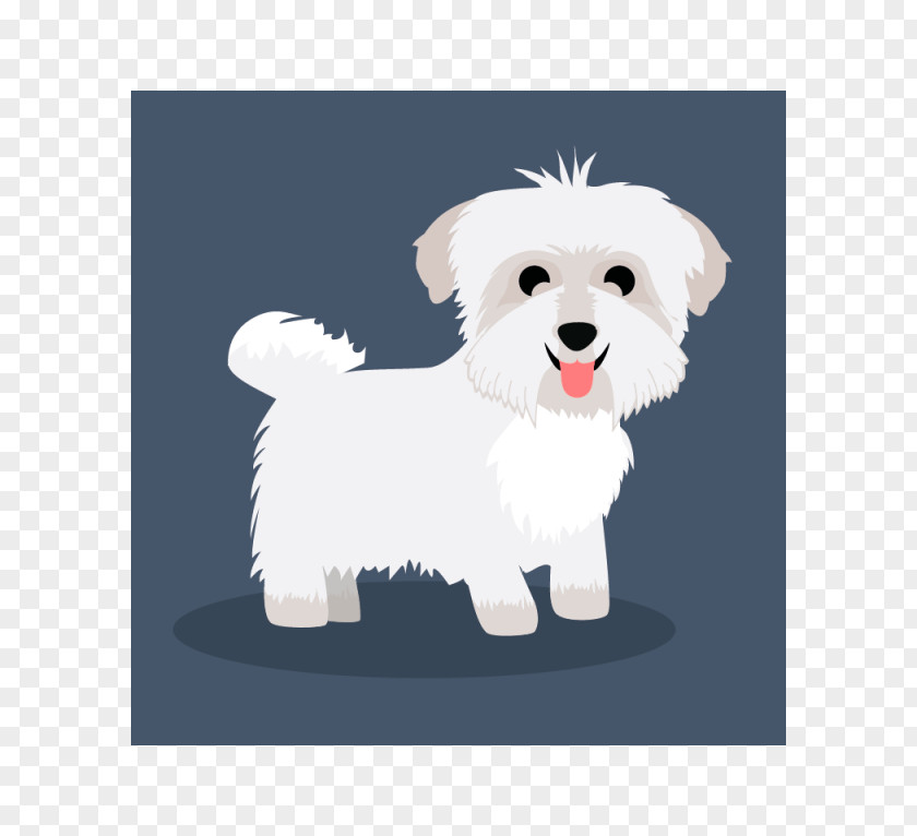 Puppy Maltese Dog Havanese West Highland White Terrier Breed PNG