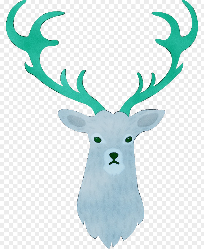 Wildlife Horn Reindeer PNG