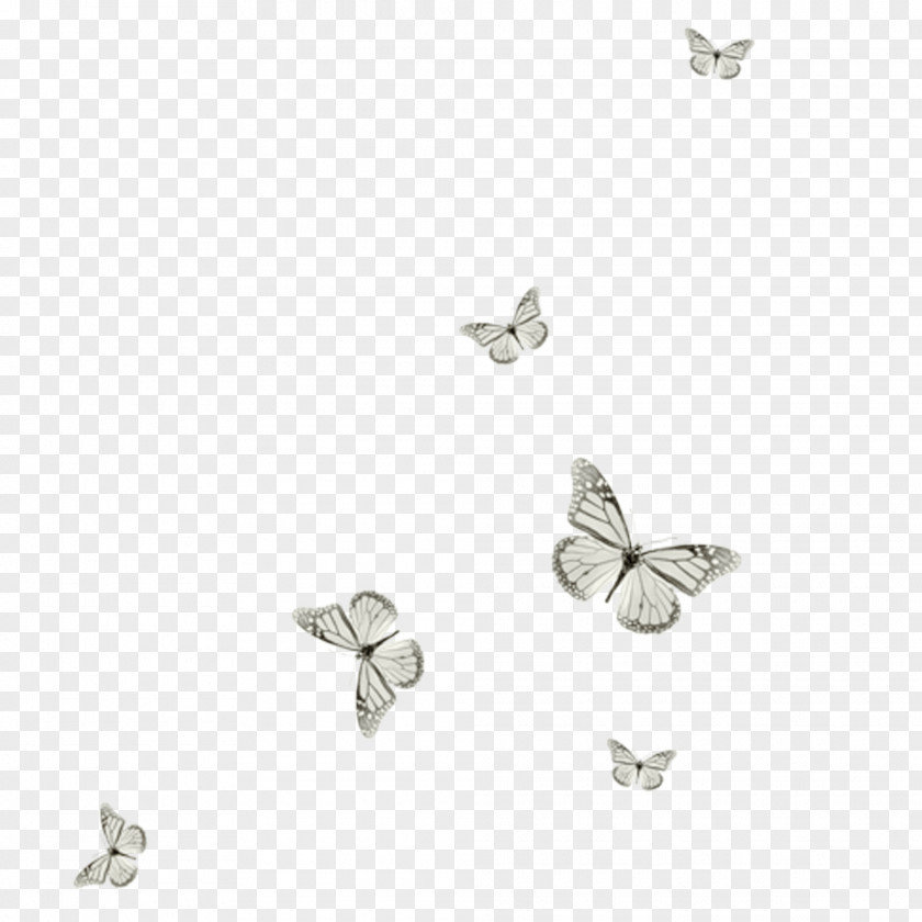 Butterfly PaintShop Pro Clip Art PNG