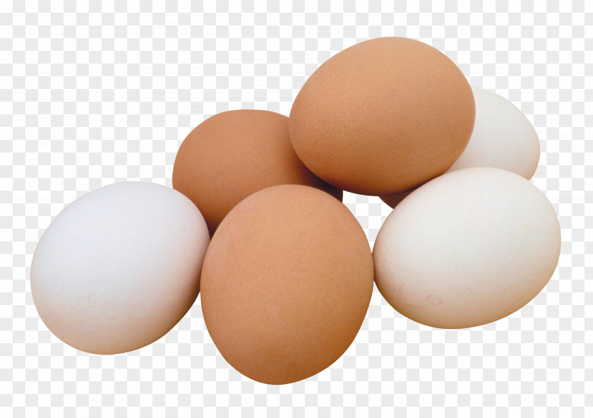 Chicken Egg Clip Art PNG