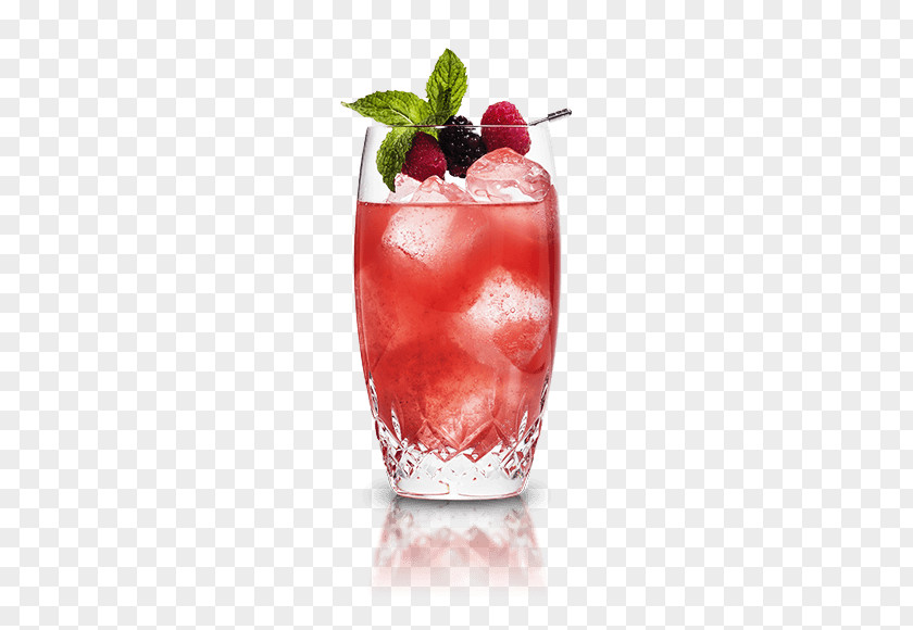 Cocktail Cointreau Rickey Fizzy Drinks Punch PNG