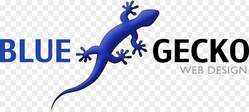Gecko Websites Reptile Web Development Lizard PNG