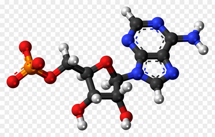 Guanosine Adenosine Monophosphate Triphosphate Molecule Uridine PNG
