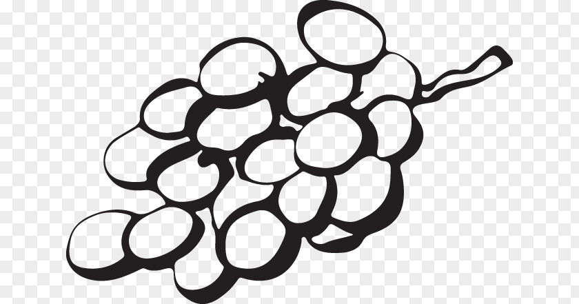 Leaf Grape Grapevine Family Black-and-white Circle PNG