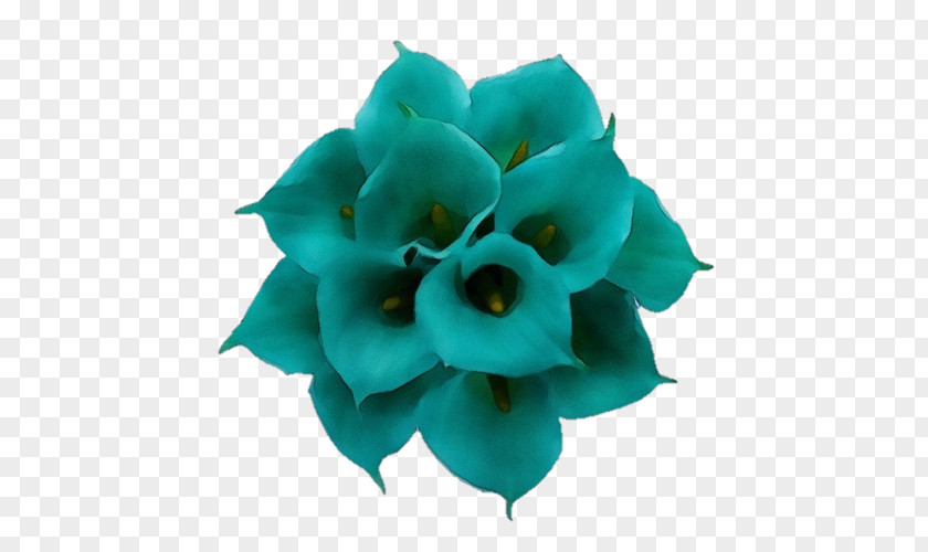 Plant Aqua Black And White Flower PNG