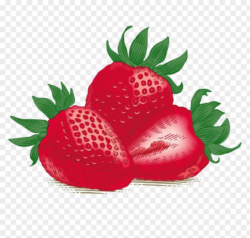 Summer Food Flower Png Strawberries Fruit Lip Balms & Treatments Burt's Bees Gloss Bees, Inc. Lips PNG