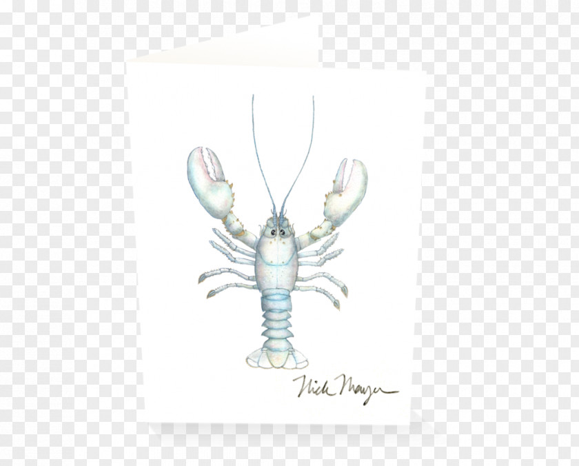 Watercolor Ocean American Lobster California Spiny Decapoda Invertebrate Gloucester PNG