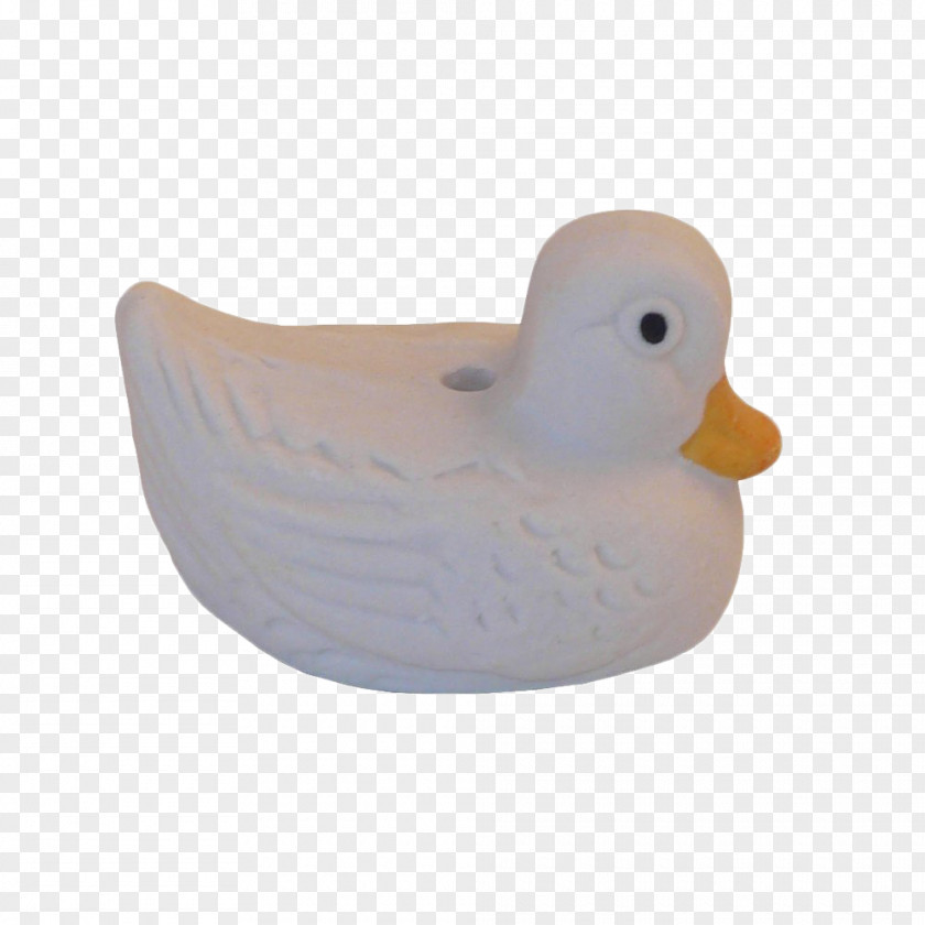 Duck Plastic PNG