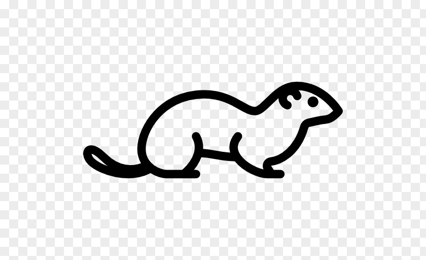 Ferret Stoat Clip Art PNG