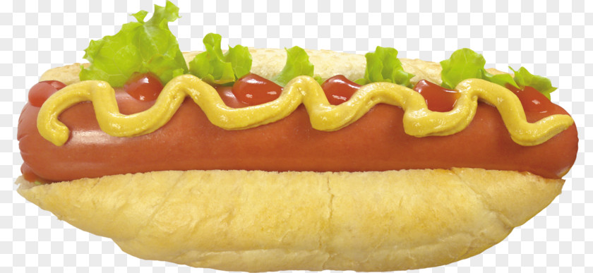 Hot Dog Buns Hamburger Sausage Fast Food PNG