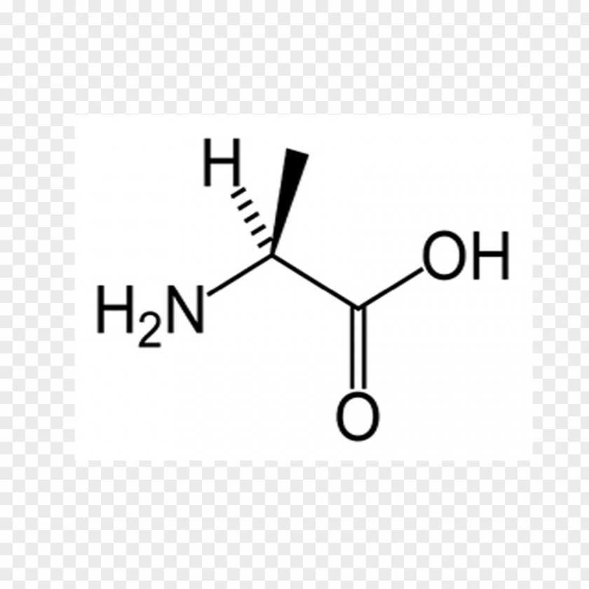 Leucine Proteinogenic Amino Acid Valine Essential PNG