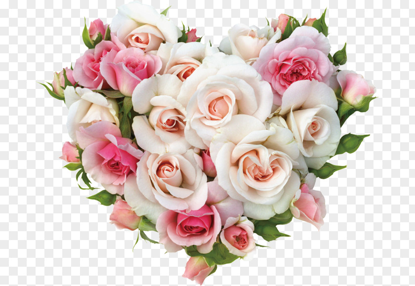 Light Rose Mural Color Flower PNG