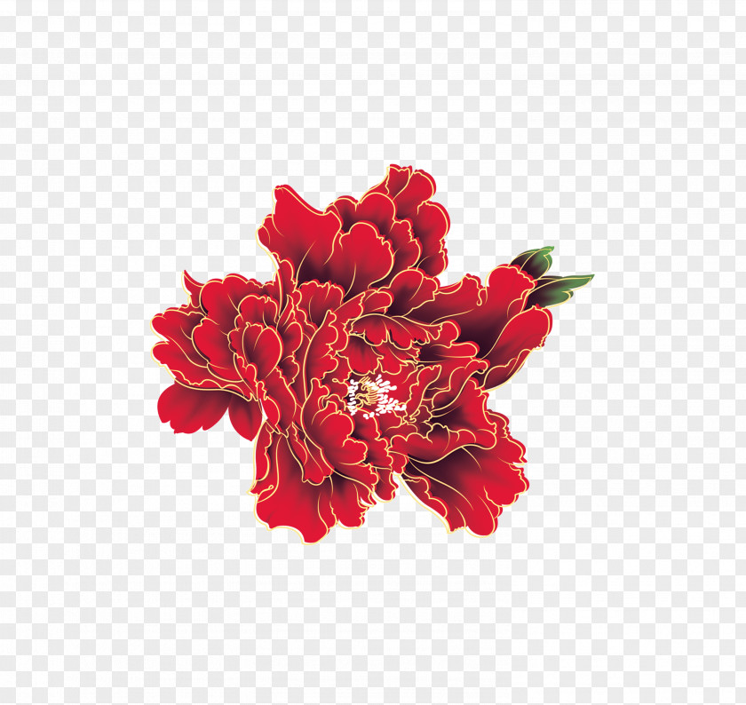 Color Peony States Red Moutan PNG