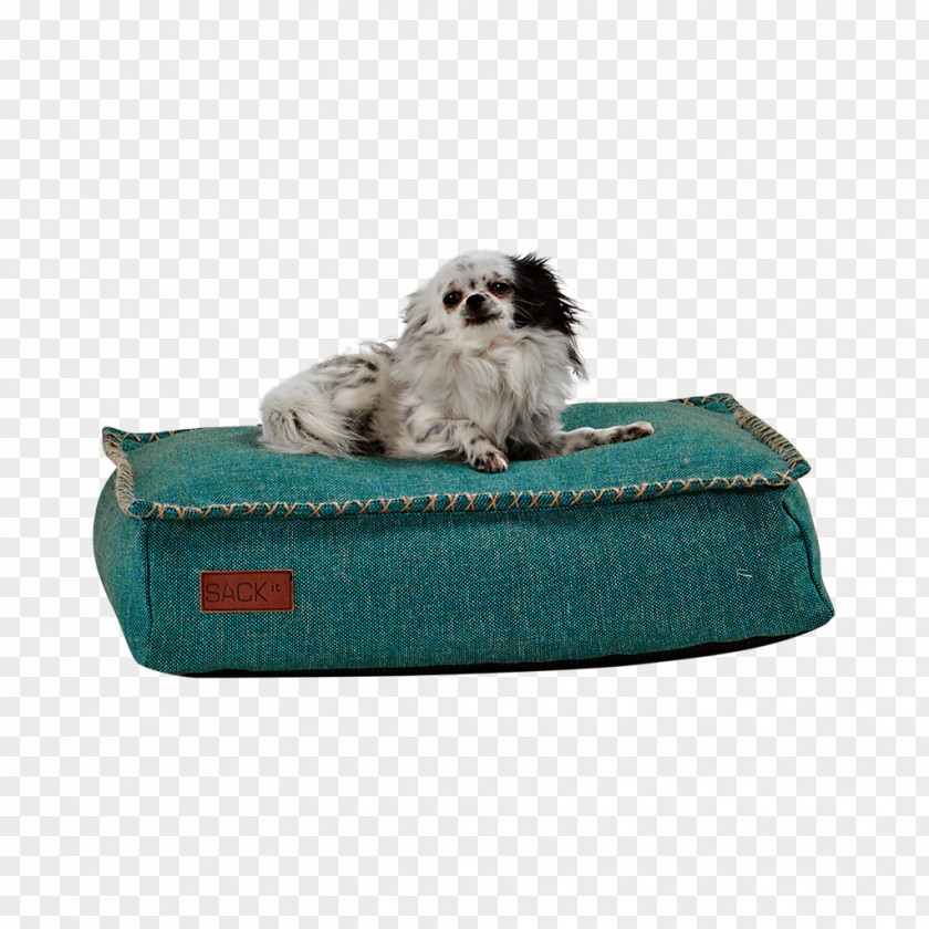 Dog Breed Pet Furniture Bean Bag Chair PNG