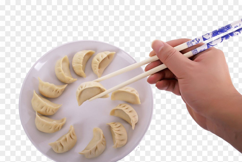 Folder Dumplings Photography Wan Chai Pelmeni Dumpling Tangyuan Stuffing PNG