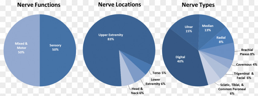 Market Analysis Peripheral Nerve Lesions Neuroregeneration Allograft Nervous System PNG