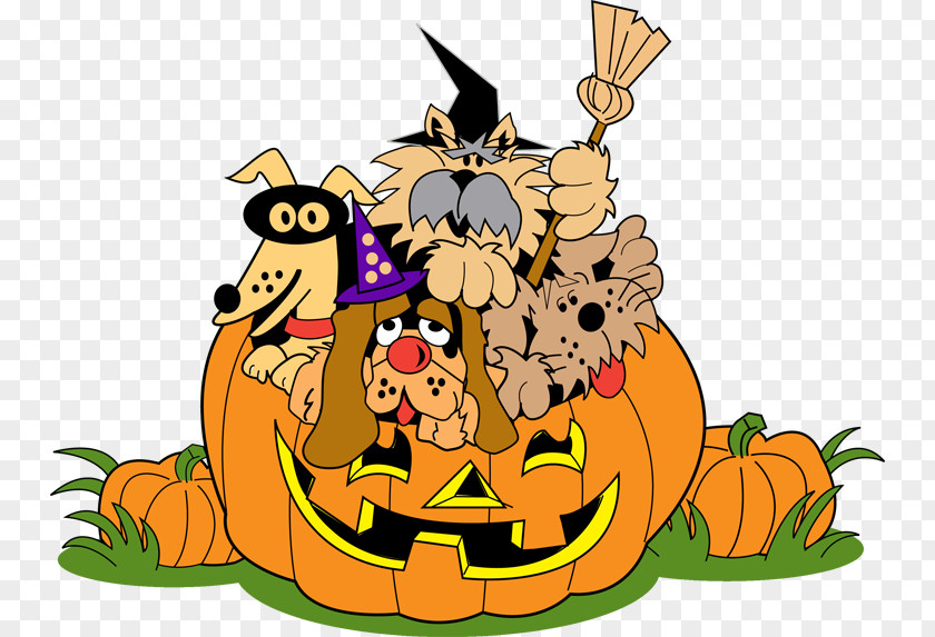 Pumpkin Clip Art Halloween Designs Illustration PNG