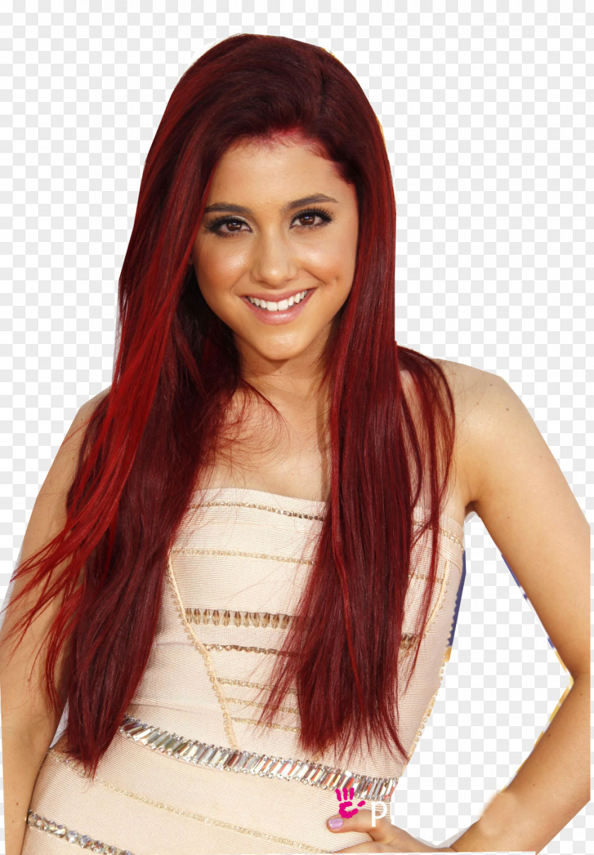 Ariana Grande Hair Coloring Human Color Hairstyle PNG