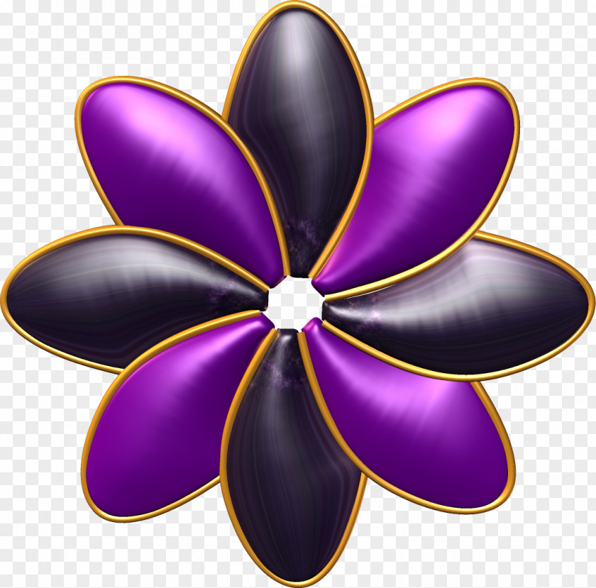 Design Petal PNG