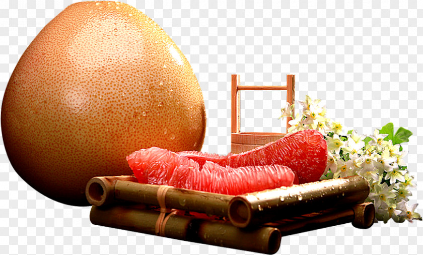 Grapefruit Pomelo Food U9ec3u8089u871cu67da PNG