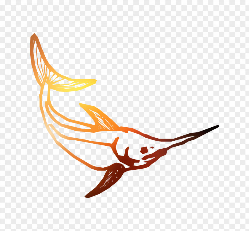 Illustration Clip Art Bird Beak Line PNG