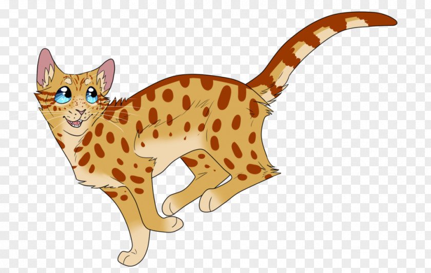 Runas Ocicat Whiskers Wildcat Terrestrial Animal Fauna PNG