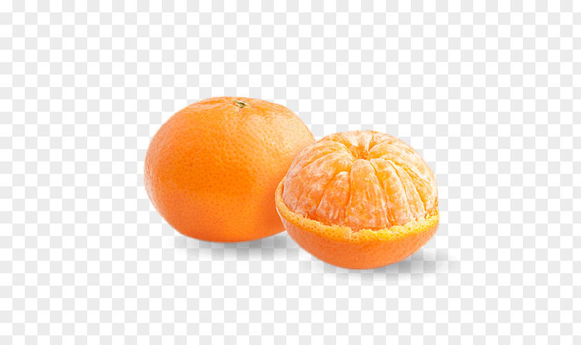 Tangerine Mandarin Orange Clementine Tangelo Rangpur PNG