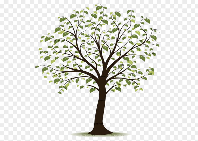 Tree Clip Art Openclipart Free Content Image PNG