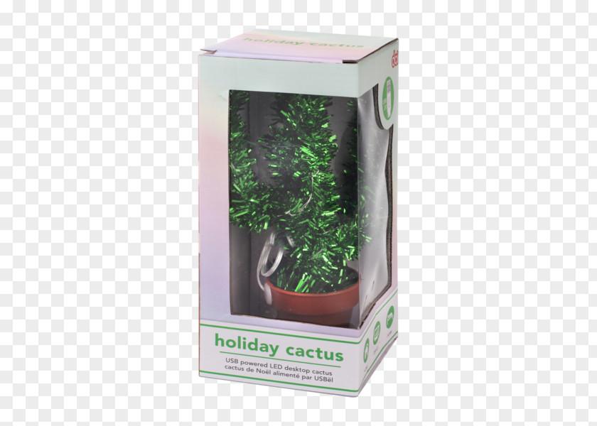 Christmas Schlumbergera Cactaceae Holiday Gift PNG
