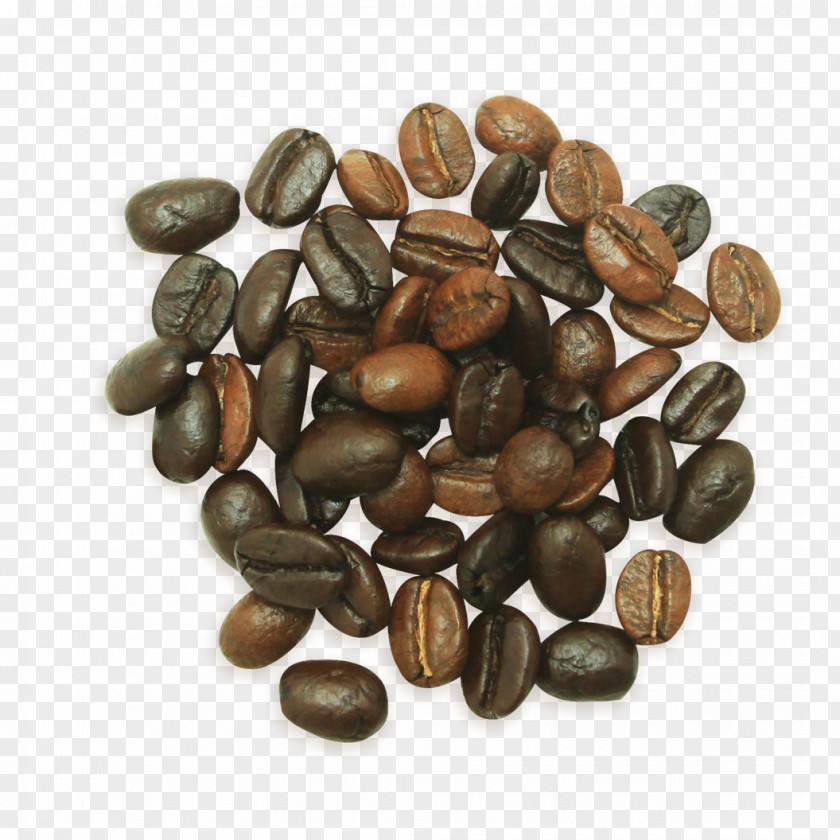 Coffee Arabic Philz Hazelnut Decaffeination PNG