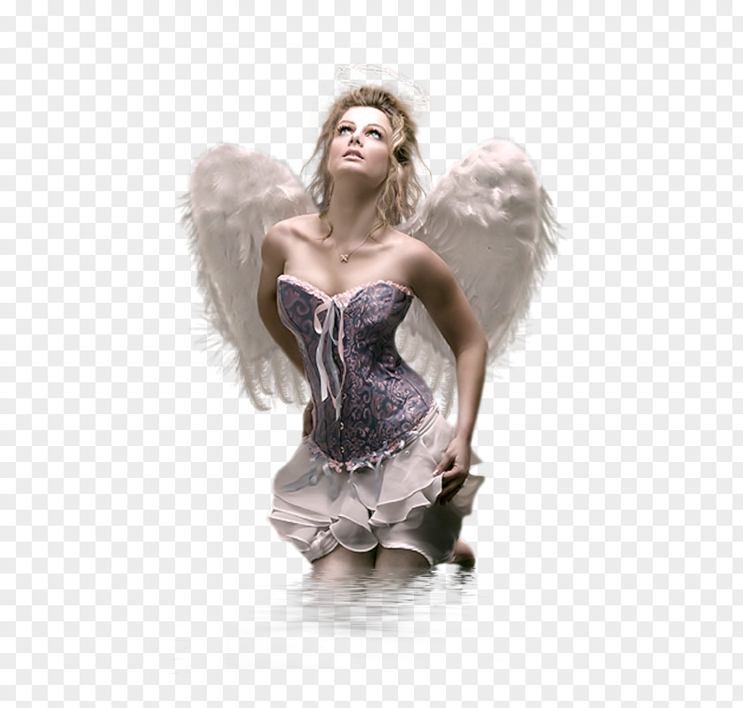 Les Anges Angel November Voici 0 PNG