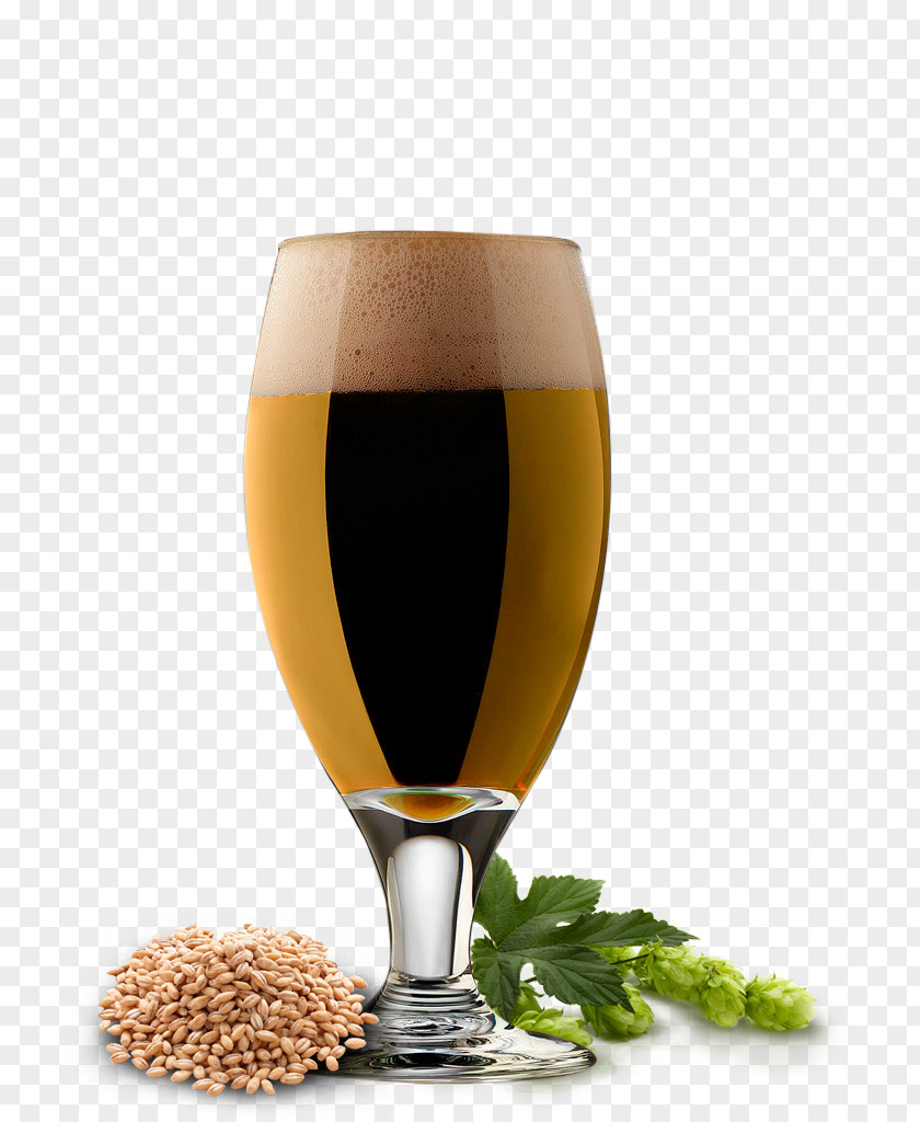 Tropical Fruit Beer Cocktail Ale Lager Wheat PNG