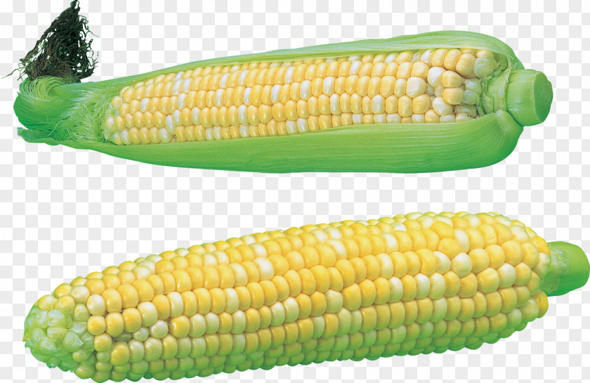 Corn Image The Maize Rye Bread Cereal PNG