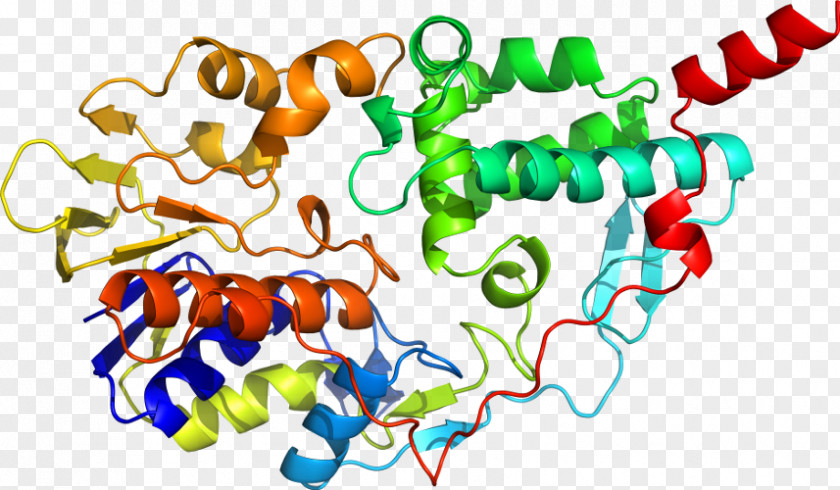 Moscow State University Shkola Khorarnoy Astrologii Marka Rusborna Monoamine Oxidase Scientist Nature PNG