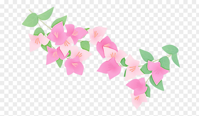 Pink Petal Flower Plant Bougainvillea PNG