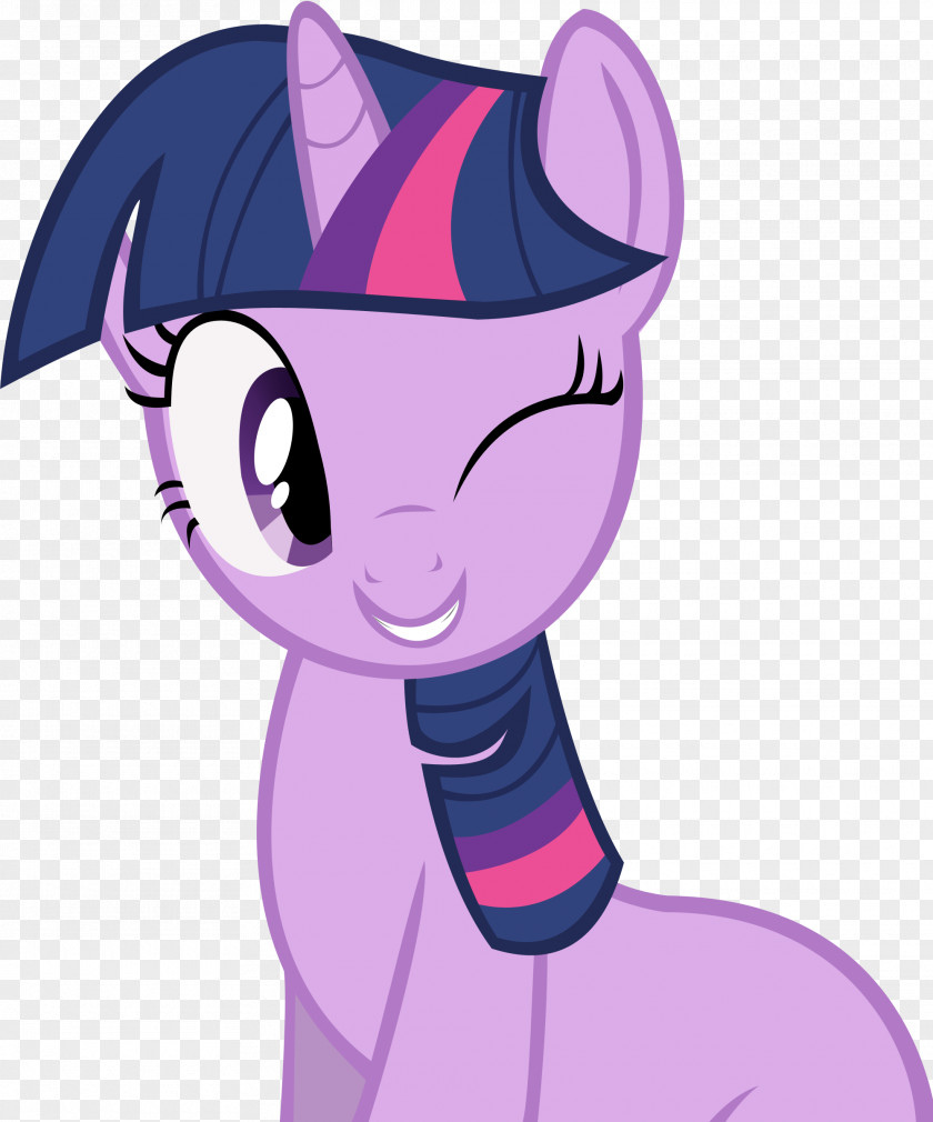 Twilight Sparkle Rainbow Dash Rarity Pinkie Pie Pony PNG